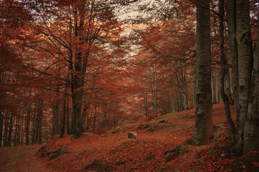 Otoño en Suances